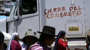 Parlamento de Per&uacute; adelanta elecciones para abril de 2024 en busca de salida a crisis