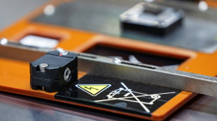 Export ban sparks rush to process lithium in Zimbabwe