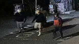 M&aacute;s de 600 objetos robados de un museo de Bristol, en Inglaterra