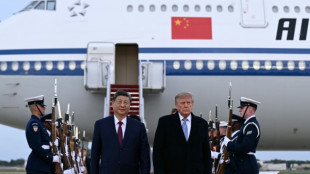 Xi pers&ouml;nlich von Trump zu Staatsbesuch empfangen - Aufruf zu "Partnerschaft"