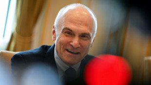 US-Botschafter weist Vorwurf der Wahl-Einmischung in Ungarn zur&uuml;ck