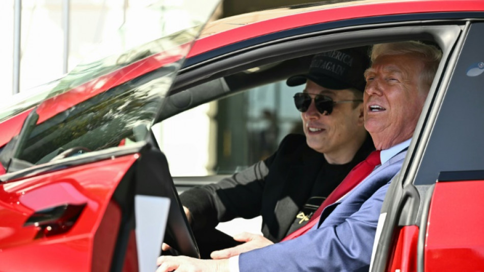 Nach hohen Verlusten bei Tesla: Musk will Arbeit f&uuml;r Trump-Regierung herunterfahren