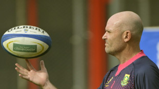 Nienaber to quit South Africa for Leinster after World Cup