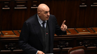 Crosetto, nulla da festeggiare per i dazi ai nostri alleati