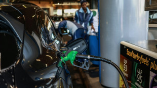 South Africa eases fuel pain as growth slows