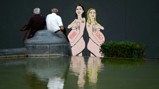Italy mulls tightening surrogacy ban 