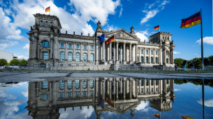 Wegen Russland-Kontakten: Bundestag darf AfD-Mitarbeiter Hausausweis verweigern