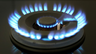 Ministerpr&auml;sidenten fordern Gaspreisbremse bereits ab 1. Januar
