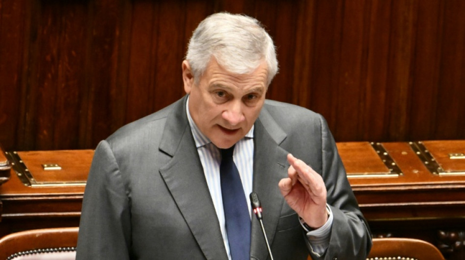 Italia, Dinamarca y Alemania recuerdan a Trump el sacrificio de sus soldados en Afganist&aacute;n