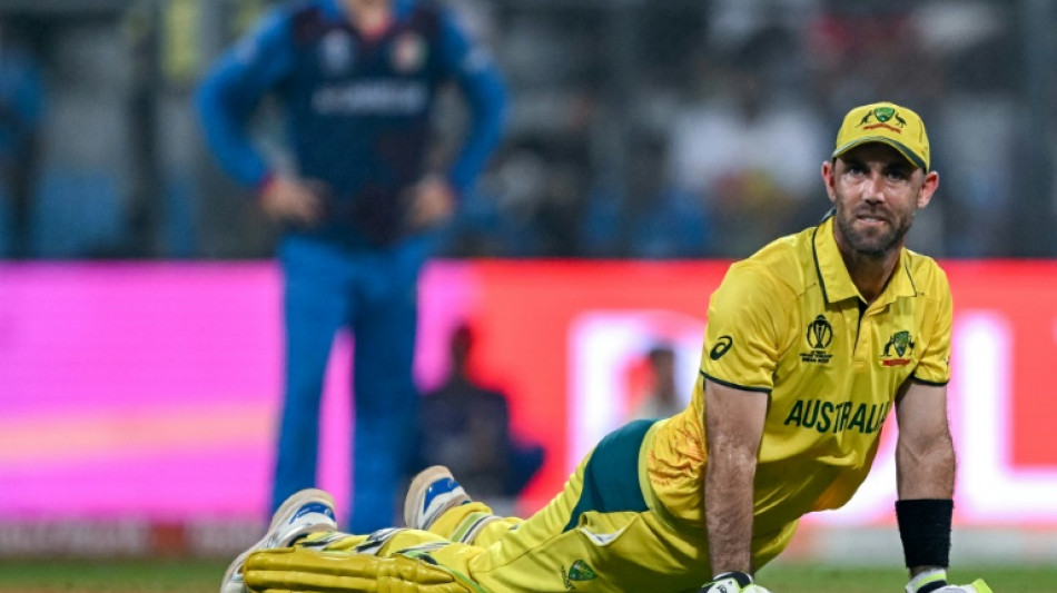 Cricket World Cup: Top 20 quotes