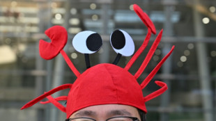 IA: les Chinois en pincent pour le "homard" OpenClaw, malgr&eacute; les risques