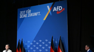 SPD im Bundestag sieht neue AfD-Jugend als "Gefahr f&uuml;r unsere Demokratie"