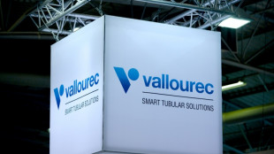 Vallourec: ArcelorMittal va devenir le nouvel actionnaire de r&eacute;f&eacute;rence