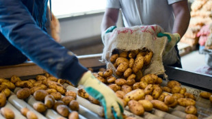 Hitzesommer: Schwache Kartoffelernte in diesem Jahr erwartet 