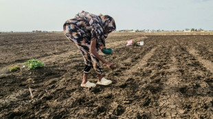 Au Soudan, le ph&eacute;nom&egrave;ne El Ni&ntilde;o ass&egrave;che les rives du Nil et menace les cultures