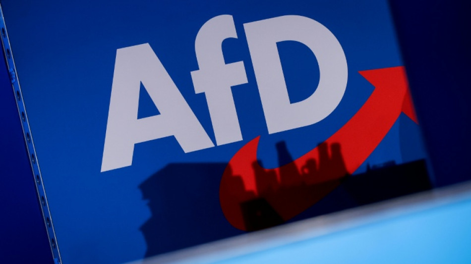 AfD-Politiker Moosdorf scheitert mit Antrag gegen Bundestagsfraktion in Karlsruhe