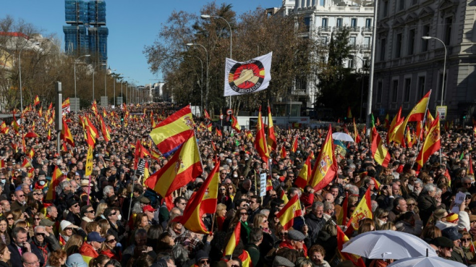 Manifestaci&oacute;n de la derecha y ultraderecha contra el gobierno espa&ntilde;ol