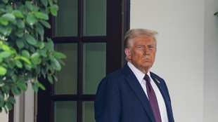 Piano di Trump per Gaza, 'entro 72 ore ostaggi liberi'