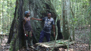 Au Gabon, un village veut sauver sa for&ecirc;t sacr&eacute;e de l'exploitation foresti&egrave;re