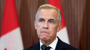 Canada's Carney stands up to Trump, despite risks