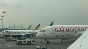 100 Millionen Passagiere j&auml;hrlich: Ethiopian Airlines plant gr&ouml;&szlig;ten Flughafen Afrikas