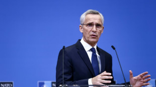 Nato will in Bukarest Winterhilfen f&uuml;r Ukraine beschlie&szlig;en