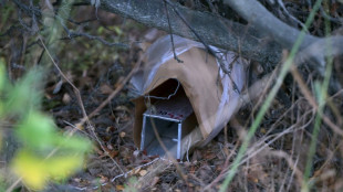 Cient&iacute;ficos buscan hantavirus ante turistas indiferentes en Ushuaia