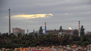 Ex Ilva: Flacks, 'dai Commissari richieste irrealistiche'