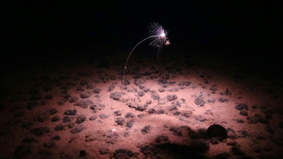 Scientists plan deep-sea expedition to probe 'dark oxygen'