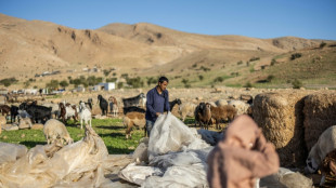 Une communaut&eacute; b&eacute;douine de Cisjordanie chass&eacute;e par le harc&egrave;lement de colons isra&eacute;liens
