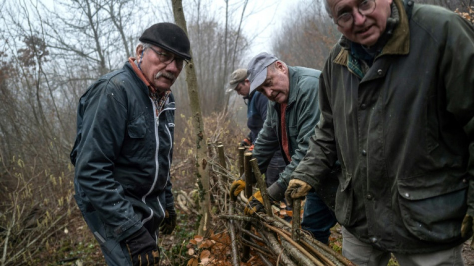 Remparts contre le r&eacute;chauffement, les haies ancestrales du Morvan fleurissent &agrave; nouveau