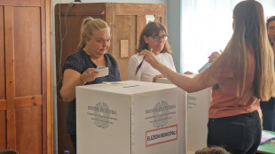 Amministrative, affluenza all'11,88% alle 12