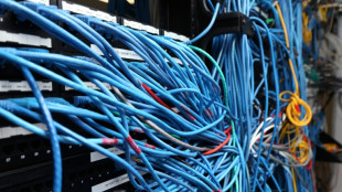 Wirtschaftsverb&auml;nde &uuml;ben scharfe Kritik an Digitalisierungsreform f&uuml;r Verwaltung