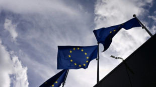 Comment l'Union europ&eacute;enne encadre le lobbying