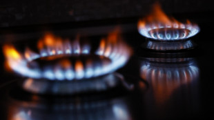 Il prezzo del gas sale a 68,90 euro al megawattora