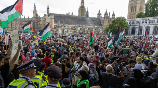 A Londra arresti alla manifestazione per Palestine Action