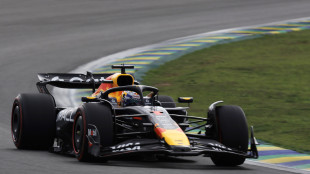 Gp Brasile: Verstappen cambia motore, partirà dalla pit lane