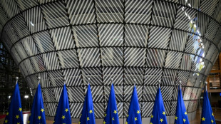 Gaza: l'UE a des cartes en main pour sanctionner Israël mais hésite à les jouer