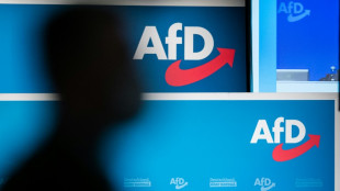 Sachsens Ministerpr&auml;sident Kretschmer alarmiert &uuml;ber H&ouml;henflug der AfD