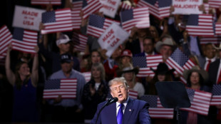 Trump promete 5.000 d&oacute;lares a cada estadounidense si mantiene el control del Congreso