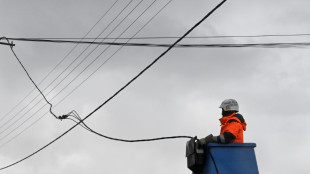 Temp&ecirc;te Ciaran: 44.200 foyers restent priv&eacute;s d'&eacute;lectricit&eacute; mardi soir