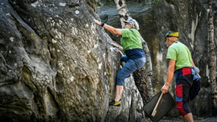 La for&ecirc;t de Fontainebleau rouvre, les grimpeurs renouent avec leurs "bonnes vieilles habitudes"