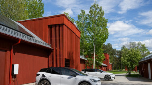 "Une batterie sur roues": en Su&egrave;de, les voitures &eacute;lectriques d'une copropri&eacute;t&eacute; alimentent le r&eacute;seau