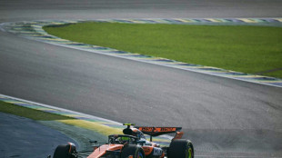 GP du Brésil: Norris domine encore Piastri, Verstappen en difficulté