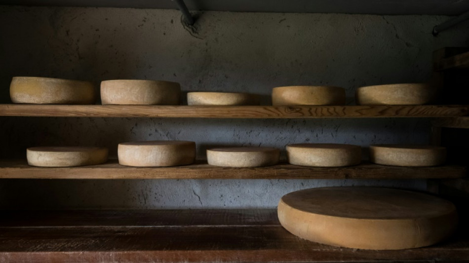 Lastwagenanh&auml;nger mit K&auml;se f&uuml;r 80.000 Euro in Mecklenburg-Vorpommern gestohlen