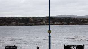 L'Argentina chiede un arbitrato internazionale sulle Falkland-Malvinas
