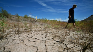 USA erleben hei&szlig;esten Sommer seit Beginn der Aufzeichnungen