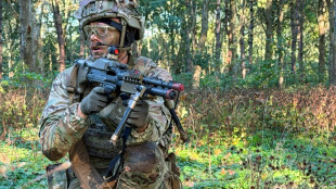 Au Danemark, la Garde nationale s'entra&icirc;ne face &agrave; une menace plus r&eacute;elle