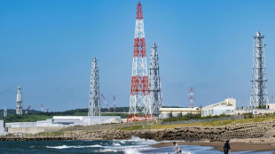 Japan restarts world's biggest nuclear plant again