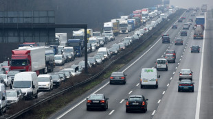 Studie: Verkehr im G&uuml;terbereich wird bis 2051 um die H&auml;lfte ansteigen